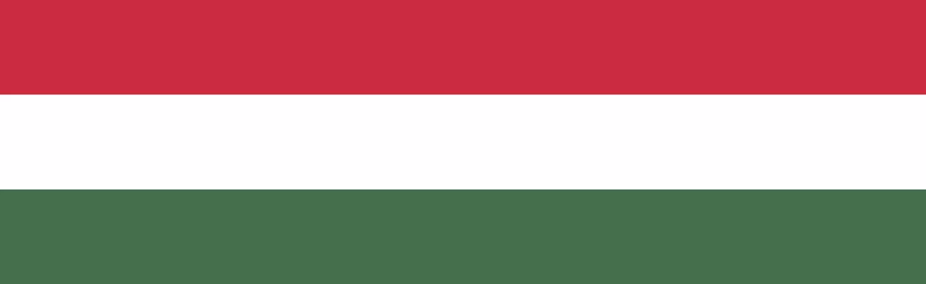 Macaristan Basketbol